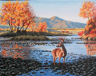 366x291 Buck Deer In Stream - Water Painting A Buck