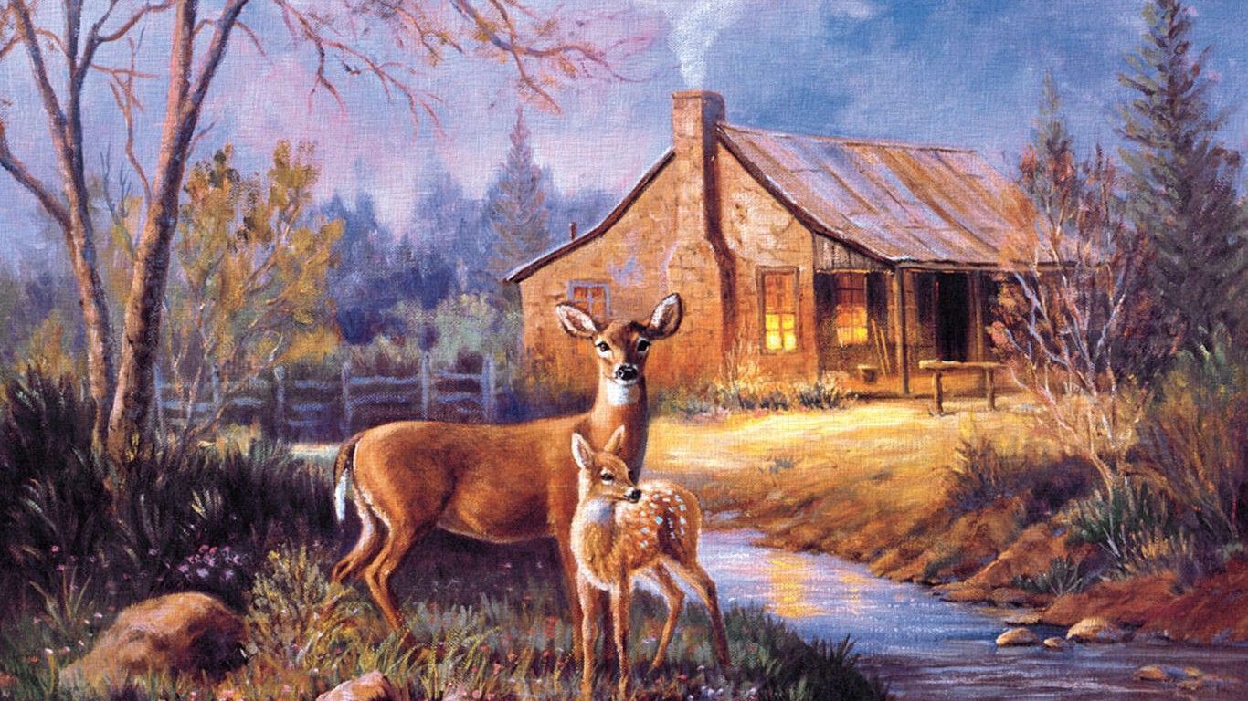 1366x768 Deer Pictures For Backgrounds Group - Water Painting A Buck