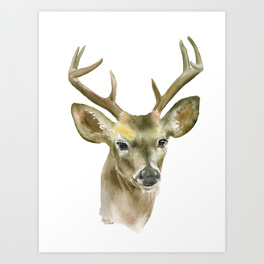 264x264 Deer Watercolor Art Prints Society6 - Water Painting A Buck