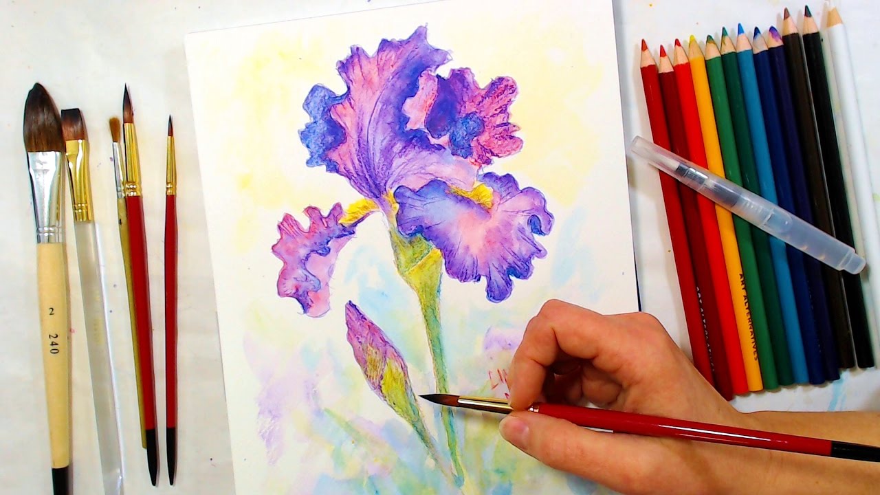 1280x720 Iris Watercolor Pencil Drawing And Painting Tutorial December - Water Painting Art