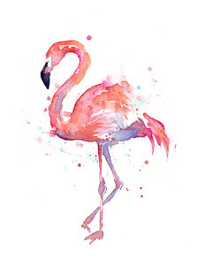 224x300 Watercolor Flamingo Paintings Fine Art America - Water Painting Art