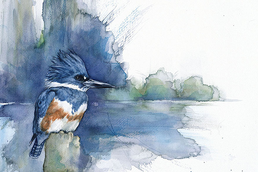 880x585 When I'M Not Working As A Biologist, I Paint Watercolor Birds - Water Painting Drawing