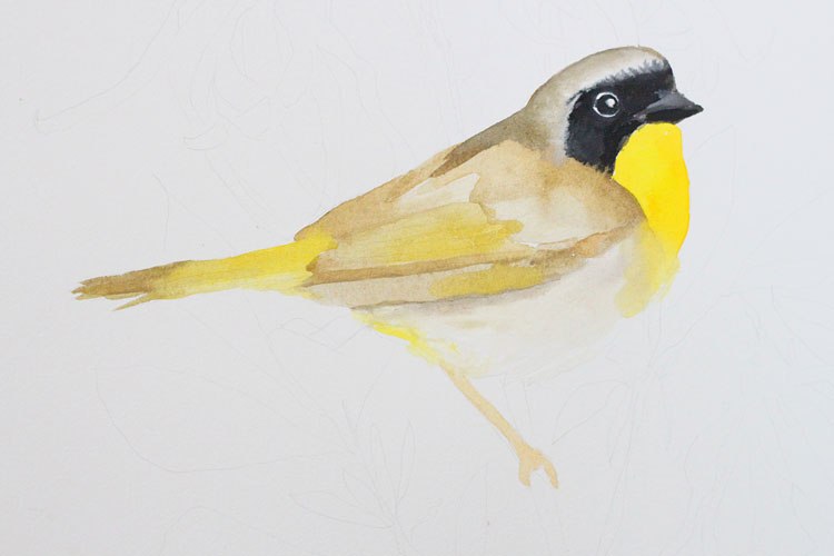750x500 Gouache And Watercolour Bird Painting Tutorial - Watercolor Bird Painting
