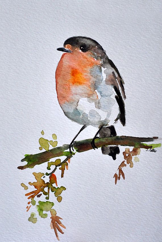 570x850 Original Watercolor Bird Painting Robin On A Branch 6x8 Inch - Watercolor Bird Painting