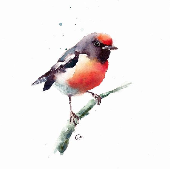 570x568 Watercolor Robin - Watercolor Bird Painting