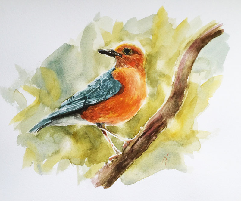 Watercolor Bird Painting at Explore collection of
