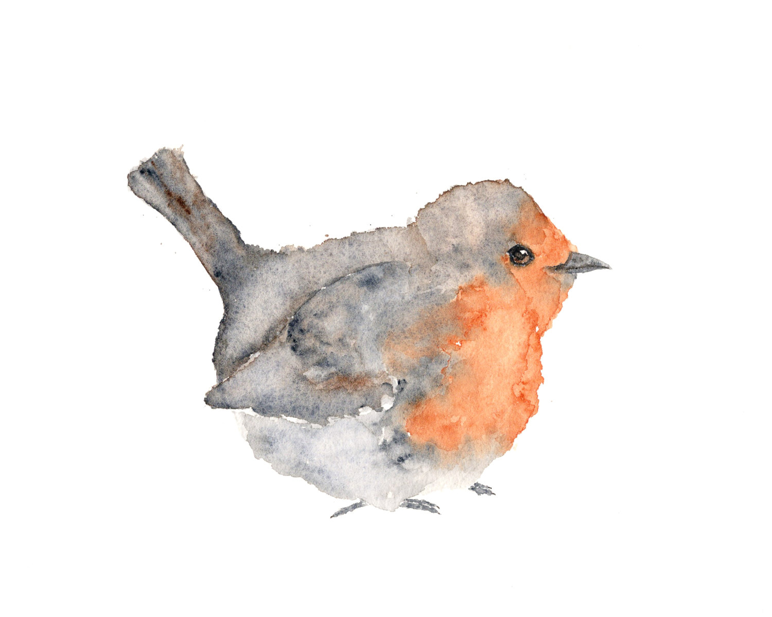 1500x1200 Watercolor Painting Watercolor Bird Painting Bird Art - Watercolor Bird Painting