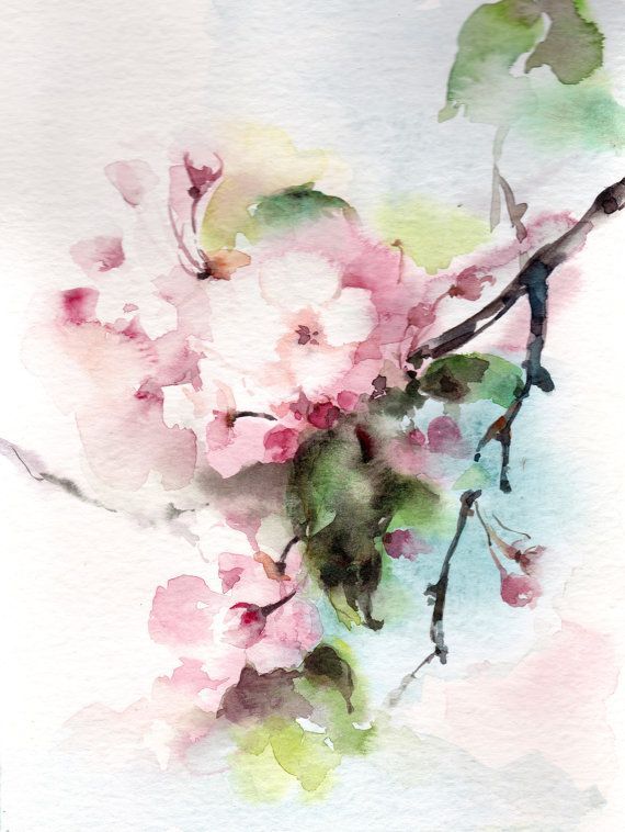 570x758 Cherry Blossoms Original Watercolor Painting Watercolour Art - Watercolor Cherry Blossom Painting