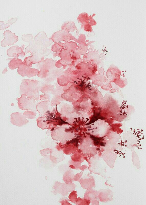 570x802 Pin By Oana On Drawings Watercolor, Tattoo - Watercolor Cherry Blossom Painting