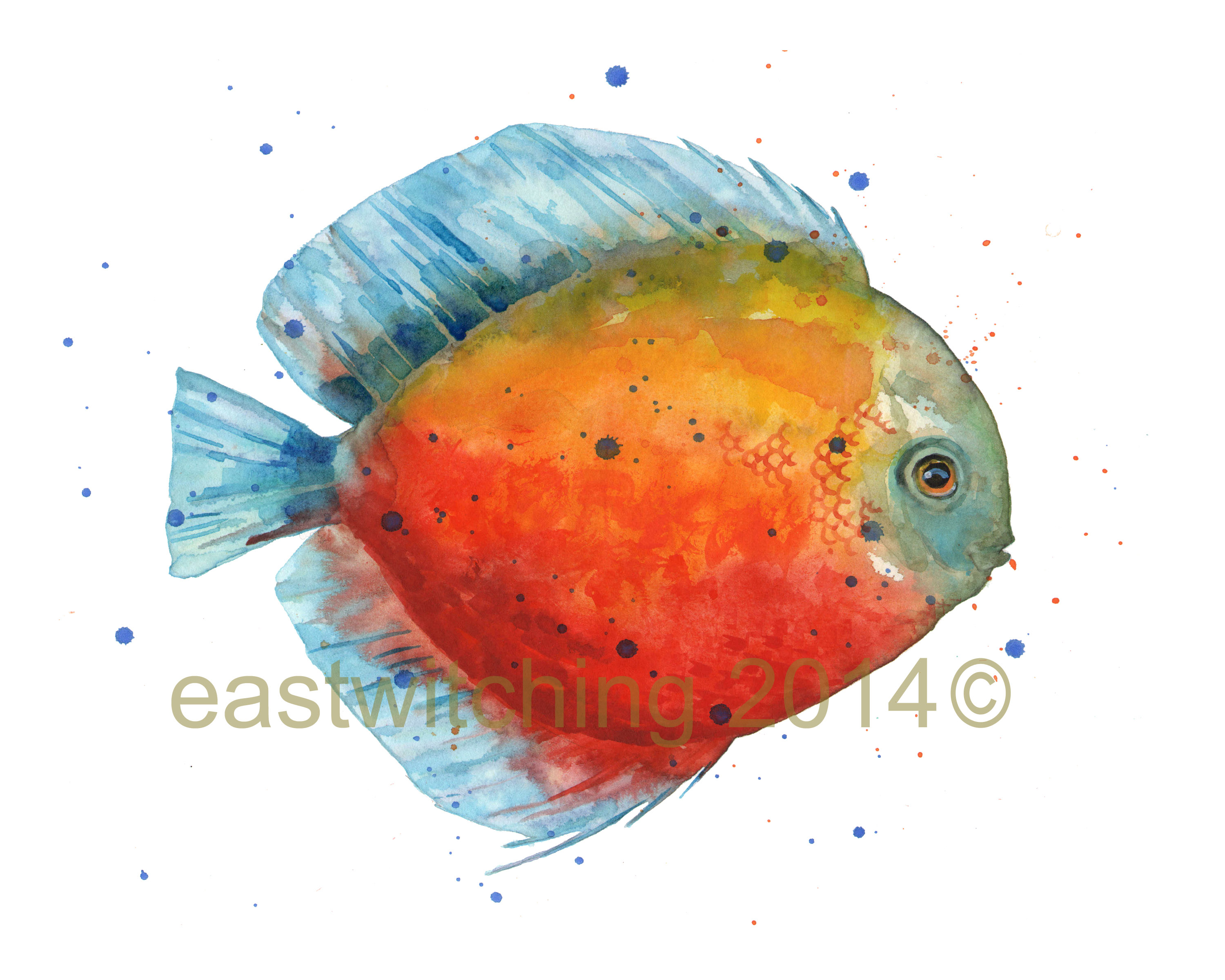 3000x2400 Gone Fishing Watercolour Discus Fish Alison Fennell Art - Watercolor Fish Painting