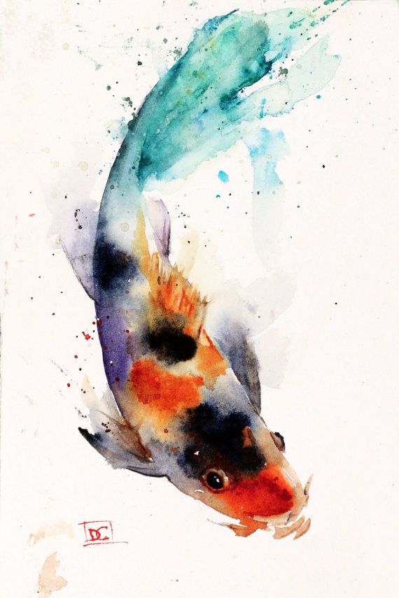 570x855 Koi Watercolor Fish Print, Koi Art, Koi Painting, By Dean Crouser - Watercolor Fish Painting