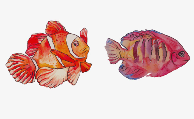 650x400 Watercolor Fish Painting, Oil Painting, Fish, Deep Sea Fishes Png - Watercolor Fish Painting