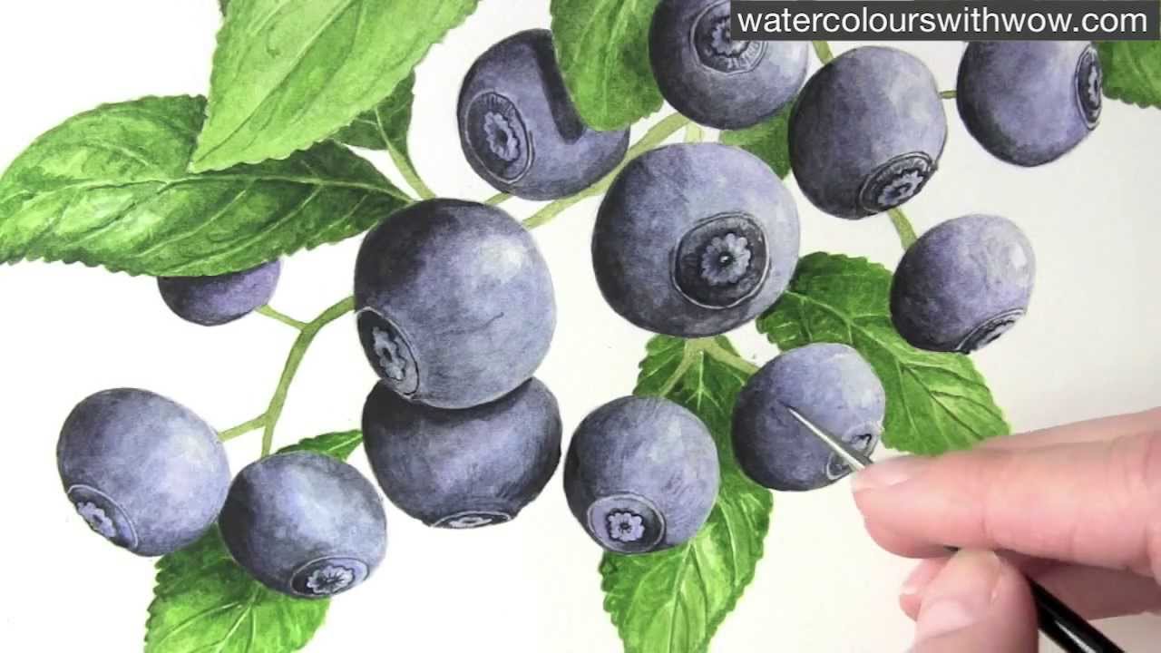 1280x720 How To Paint Fruit In Watercolor - Watercolor Fruit Painting
