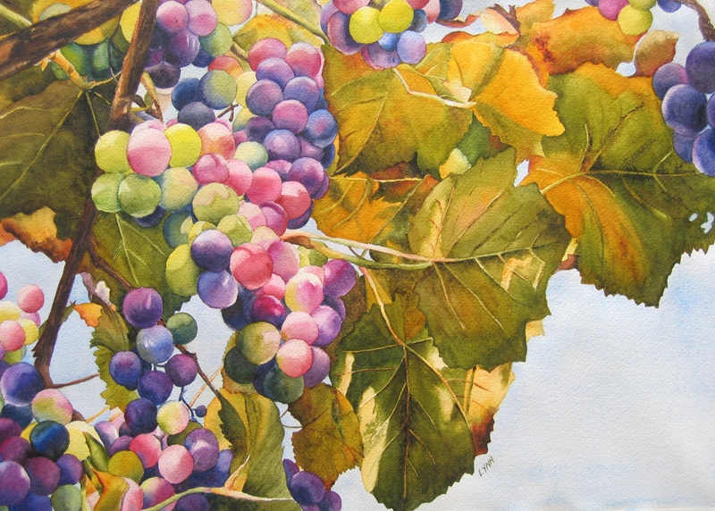 800x572 Still Life - Watercolor Fruit Painting