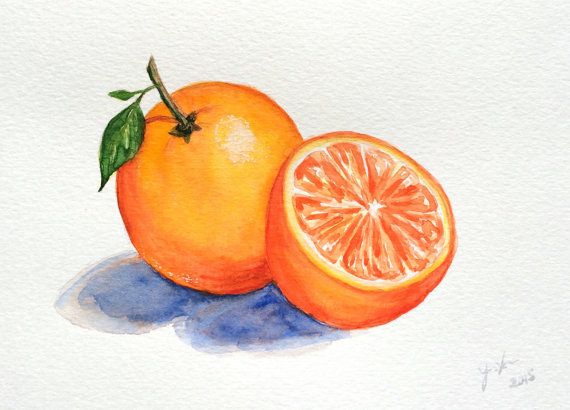 570x410 The 109 Best Original Watercolor Paintings Images - Watercolor Fruit Painting