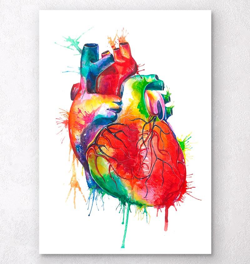 800x842 Watercolor Heart Anatomy Art Print - Watercolor Heart Painting