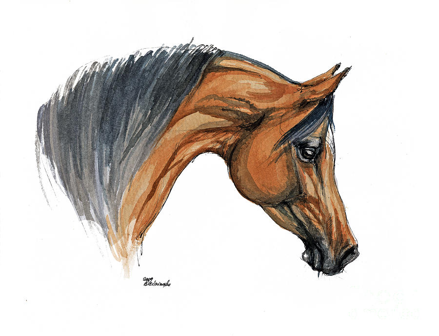900x689 Bay Arabian Horse Watercolor Painting Painting By Angel Ciesniarska - Watercolor Horse Painting