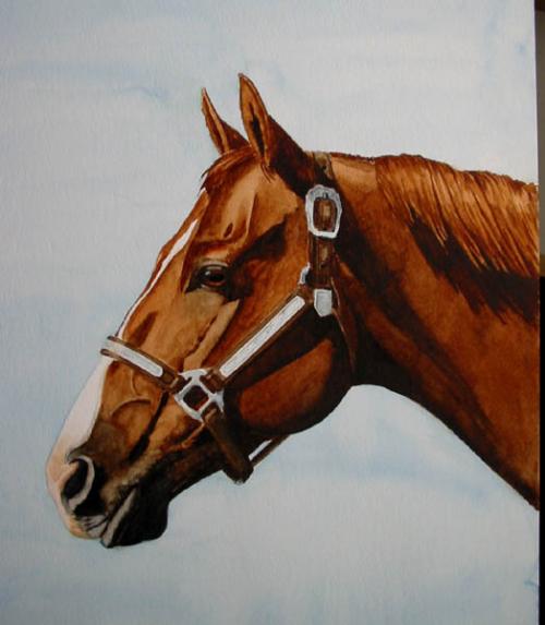 500x573 Let's Make A Painting Horse Portrait In Watercolor - Watercolor Horse Painting