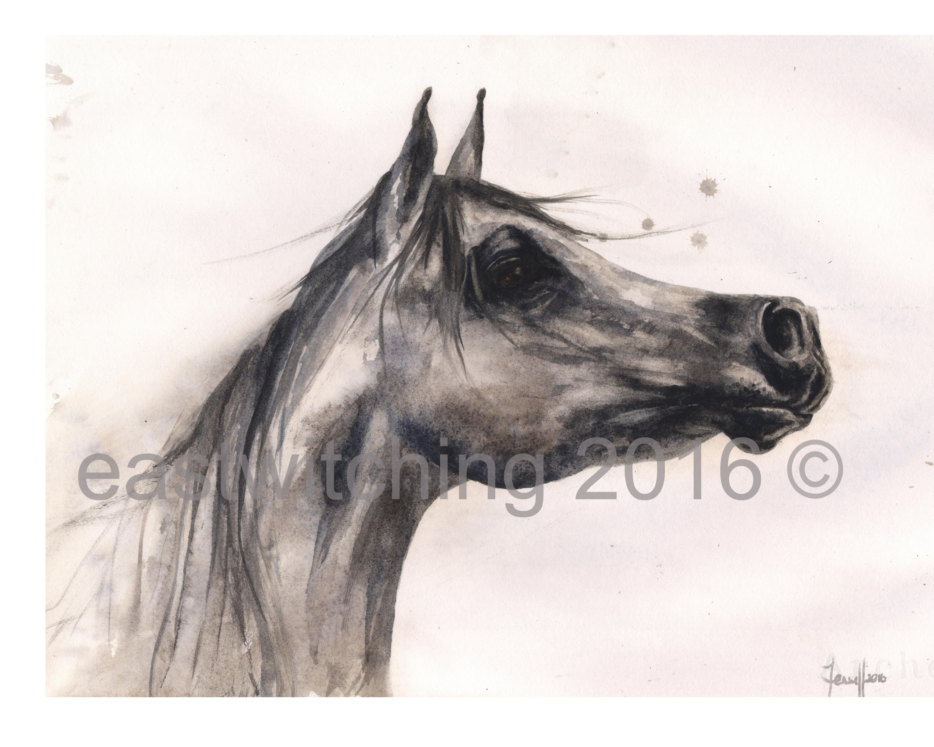 3000x2400 Painting Horses In Watercolour Alison Fennell Art - Watercolor Horse Painting