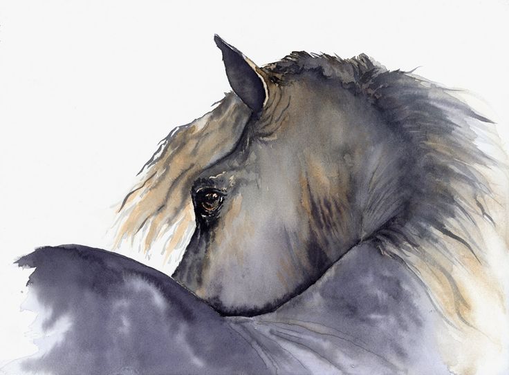 736x543 Watercolour Horse Paintings Best 25 Watercolor Horse Ideas - Watercolor Horse Painting