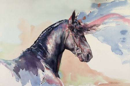 450x299 Epke Flip Friesian Horse Painting Of Black Horse In Watercolour - Watercolor Horse Painting