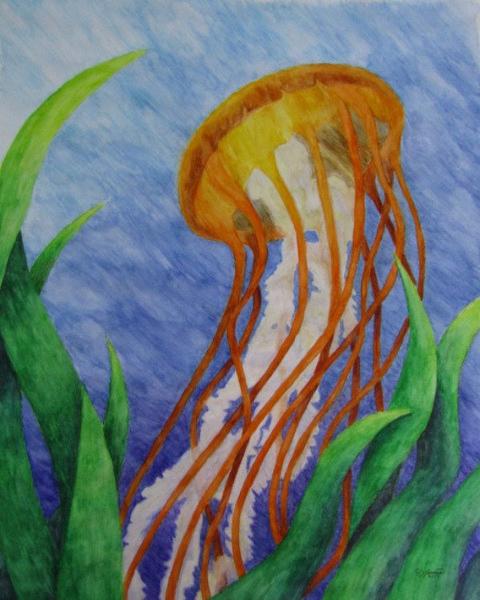 480x600 Pacific Sea Nettle Jellyfish - Watercolor Jellyfish Painting