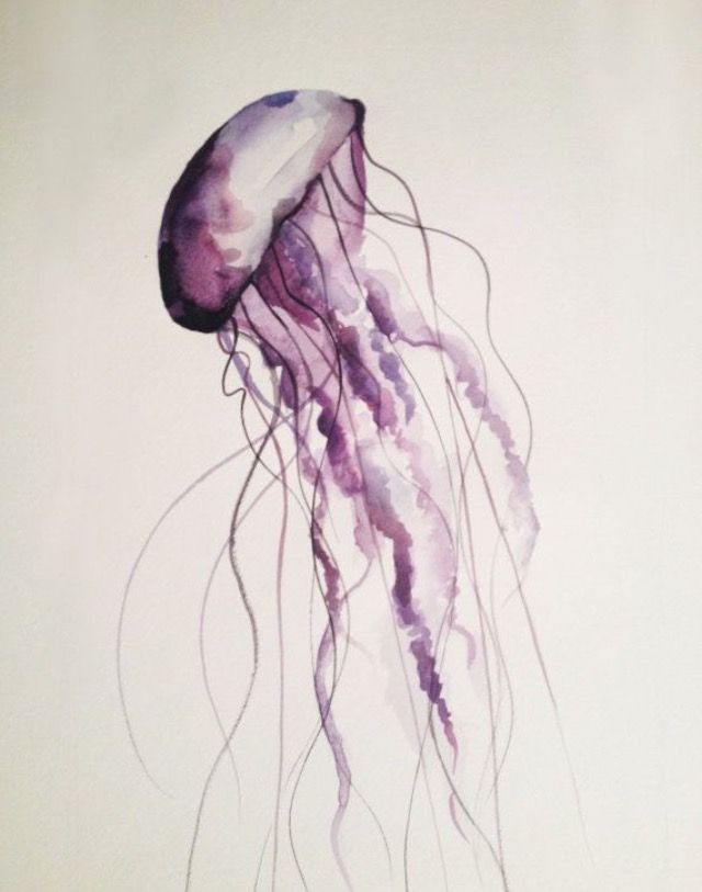 640x813 Pin By Pam Cuki On Painting Jellyfish, Watercolor - Watercolor Jellyfish Painting