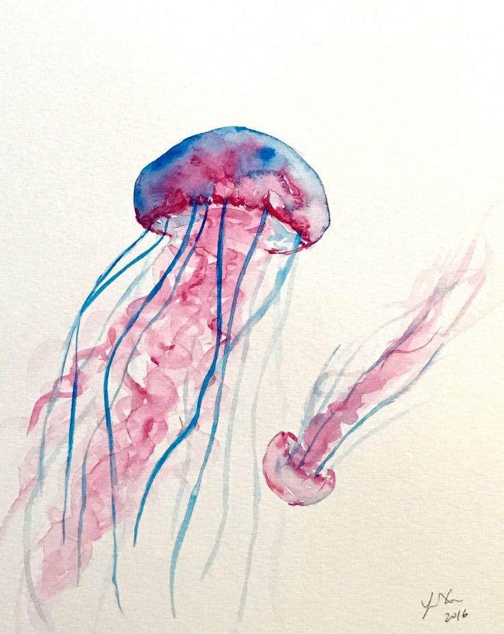 736x926 The 109 Best Original Watercolor Paintings Images - Watercolor Jellyfish Painting
