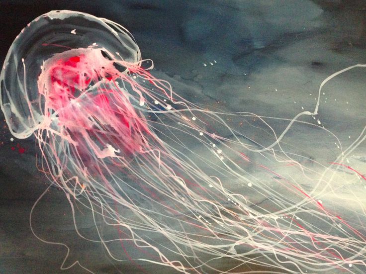 736x551 Image Result For Jellyfish Tatoo Watercolor Drawing - Watercolor Jellyfish Painting