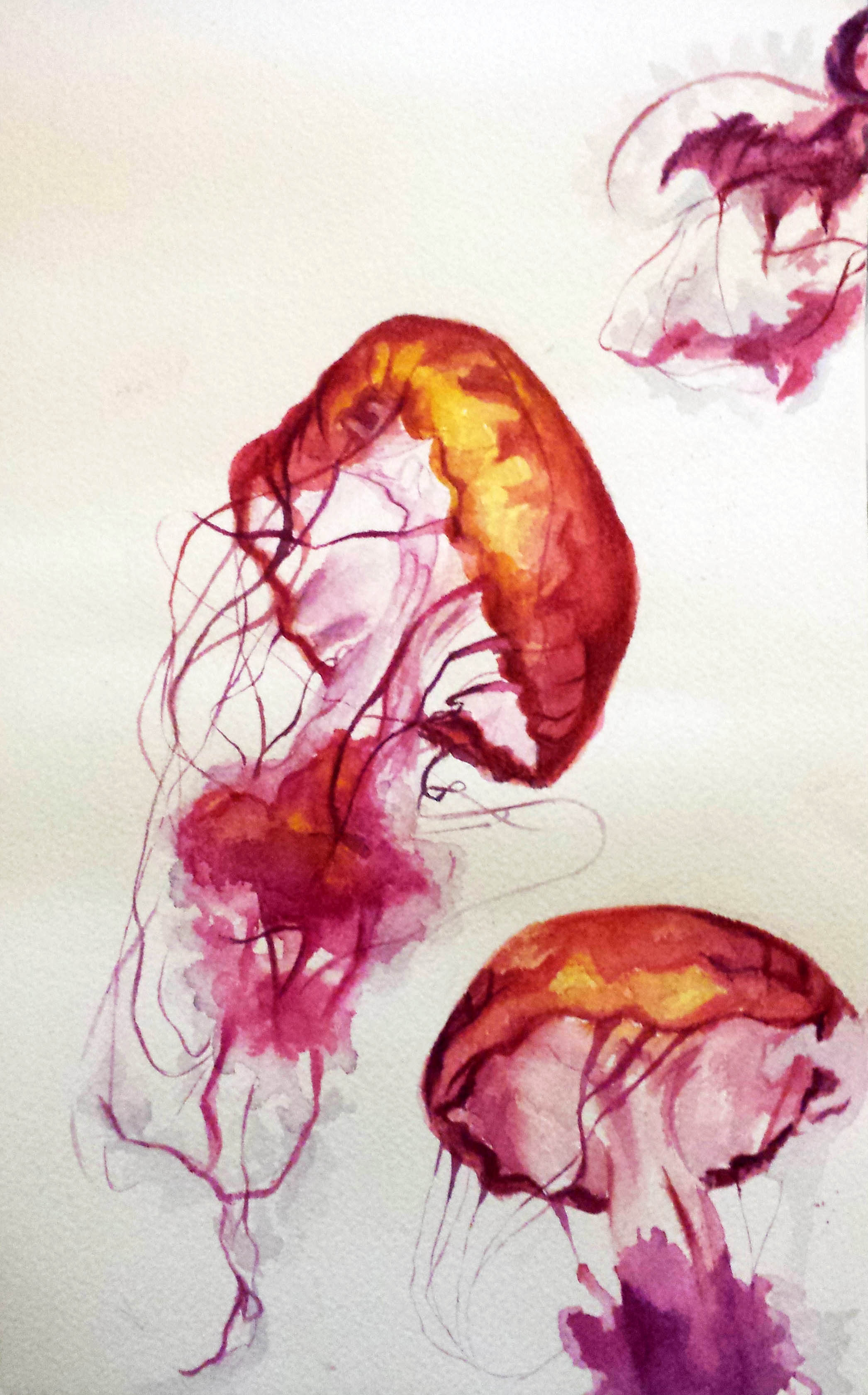 2092x3360 January 28th - Watercolor Jellyfish Painting