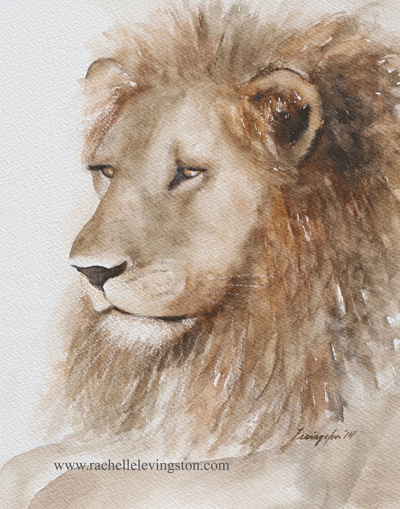 570x725 Painting Of Lion Painting Lion Art Print Lion Print - Watercolor Lion Painting