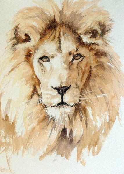 427x600 Pin By Bichito Lindo On Drawings Watercolor, Lions - Watercolor Lion Painting