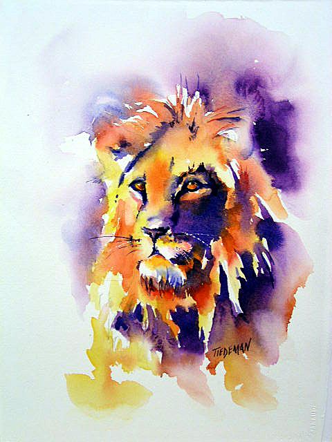 480x640 Lion Watercolor Images - Watercolor Lion Painting