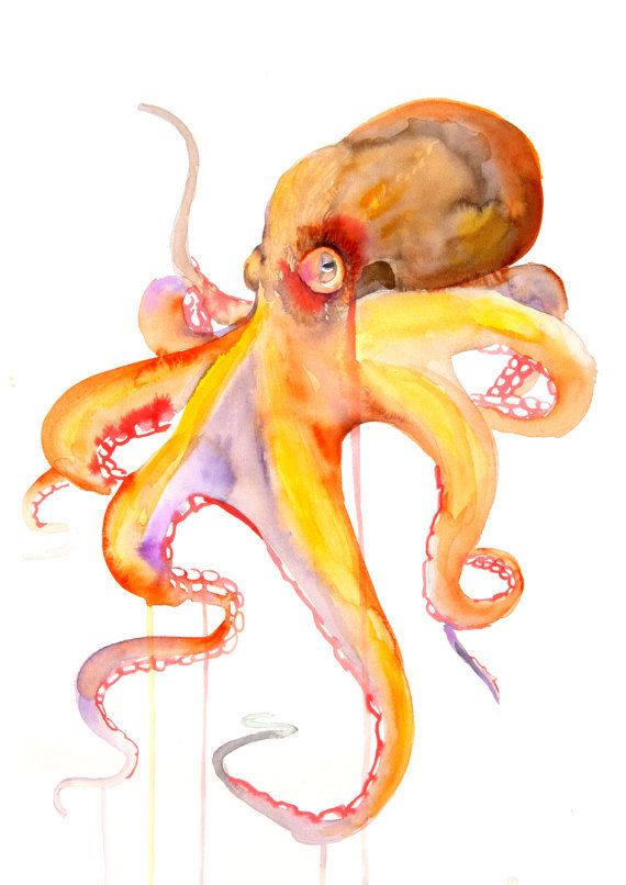 570x806 Octopus Watercolor Painting Art Print By Watercolormary On Etsy - Watercolor Octopus Painting
