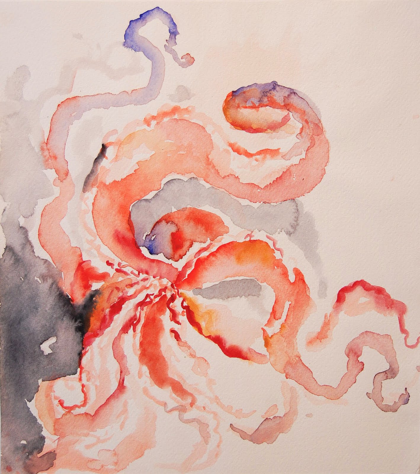 1418x1600 Art By Lyndsay Heidebrecht Octopus Watercolor Gestures - Watercolor Octopus Painting