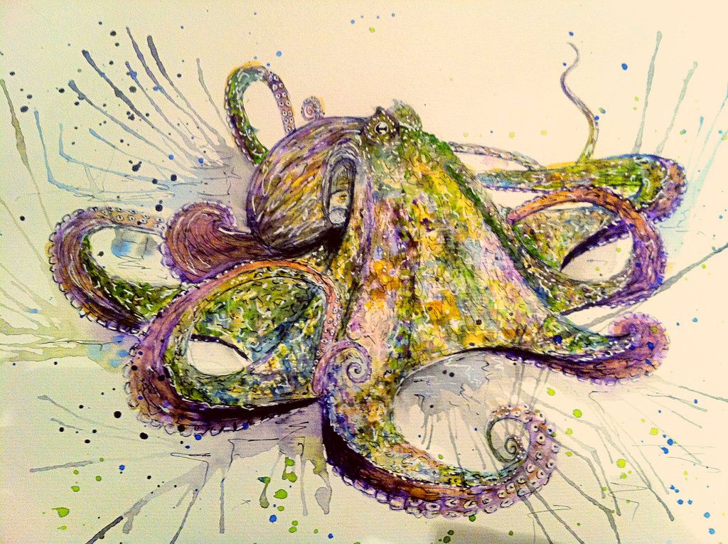 1024x765 Watercolour Octopus By - Watercolor Octopus Painting