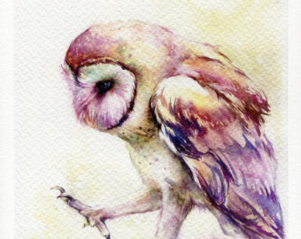 340x270 Print Owl Watercolor Painting 7.5 X 11 - Watercolor Owl Painting