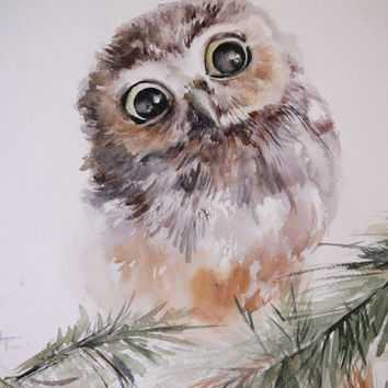 354x354 Shop Owl Watercolor Paintings On Wanelo - Watercolor Owl Painting