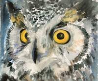 200x164 Stunning Owl Watercolor Painting Reproductions For Sale On Fine - Watercolor Owl Painting