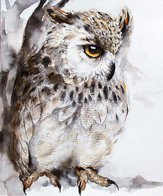 570x688 Watercolor Owl Paintingowl Painting By Kuroninjin On Etsy Paint - Watercolor Owl Painting