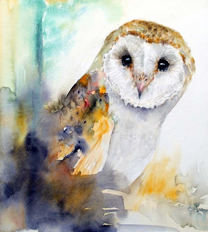 Watercolor Owl Painting at PaintingValley.com | Explore collection of ...