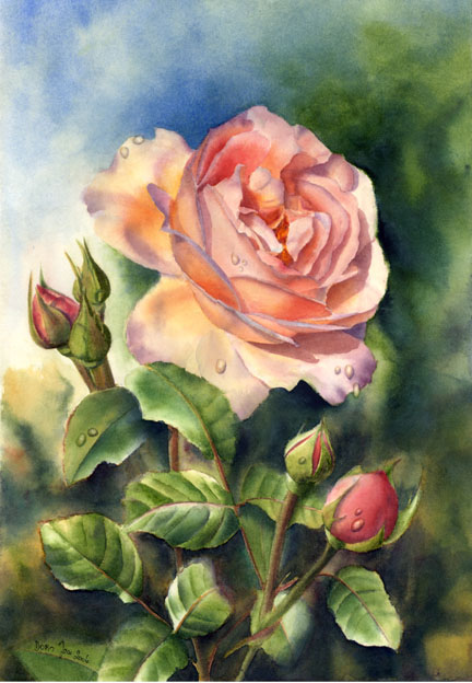 432x624 Pink Rose - Watercolor Painting Flowers