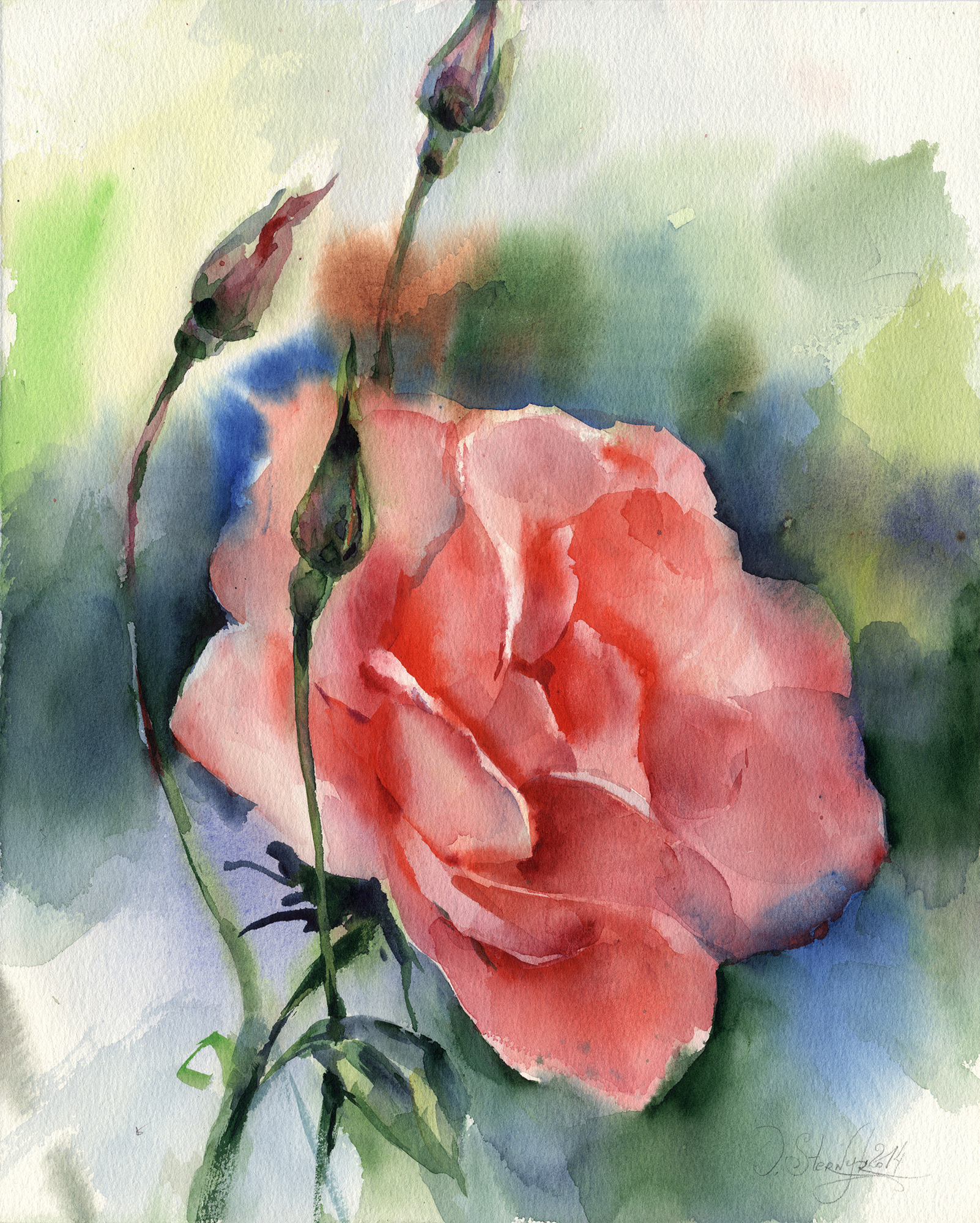 1602x2000 Rose Watercolor Painting - Watercolor Painting Flowers