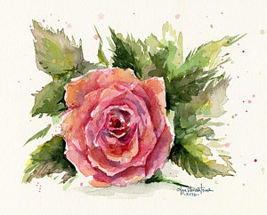 300x242 Watercolor Flower Paintings Fine Art America - Watercolor Painting Flowers Images