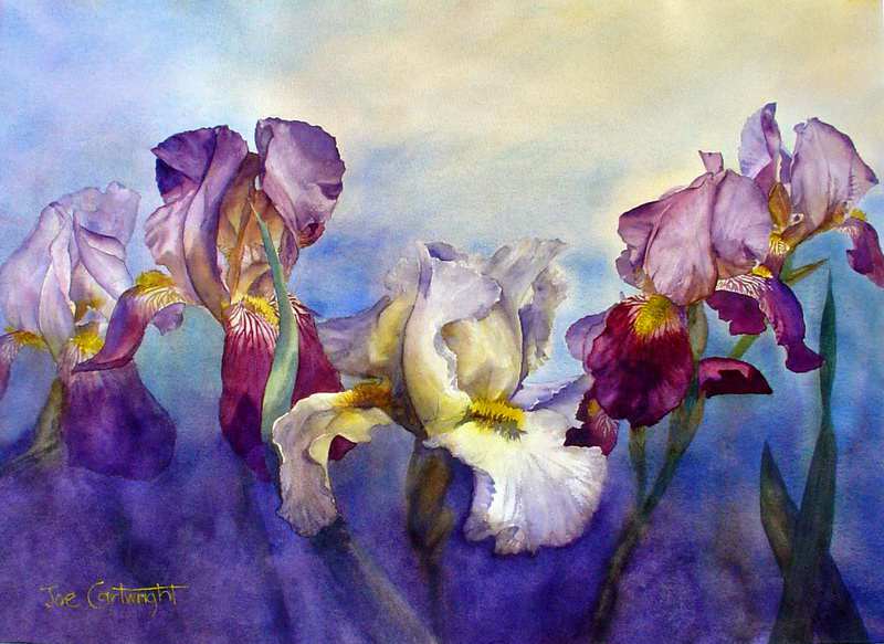 800x583 Watercolor Paintings Flowers Gallery.watercolour Flowers. - Watercolor Painting Flowers Images