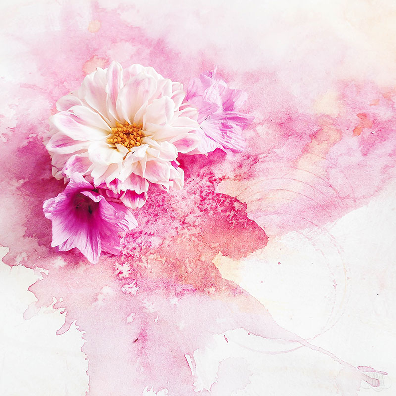 800x800 Watercolour Flower Painting That Oozes Dynamic Loveliness - Watercolor Painting Flowers Images