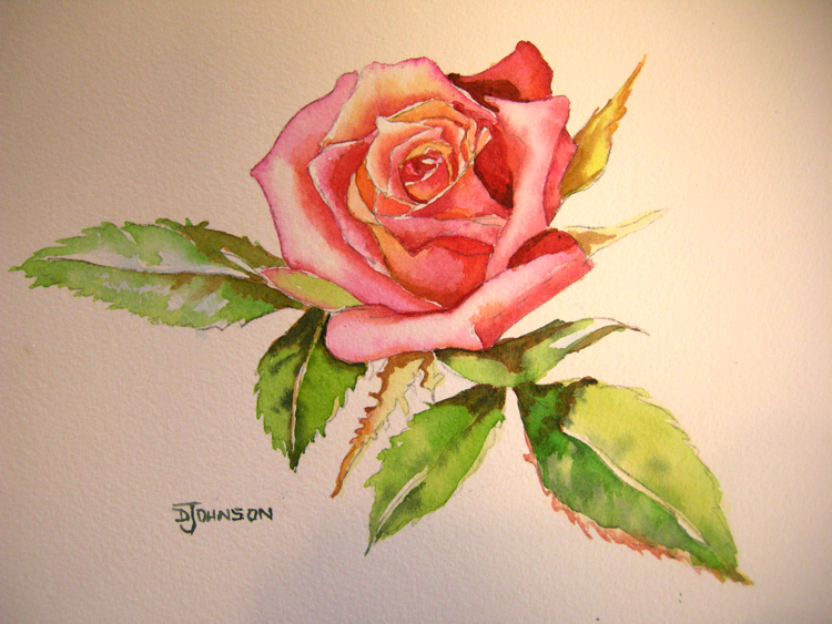 750x563 How To Paint A Rose In Watercolor Debbie Waldorf Johnson - Watercolor Painting Flowers Images