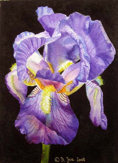 410x567 More Small Paintings - Watercolor Painting Of Irises