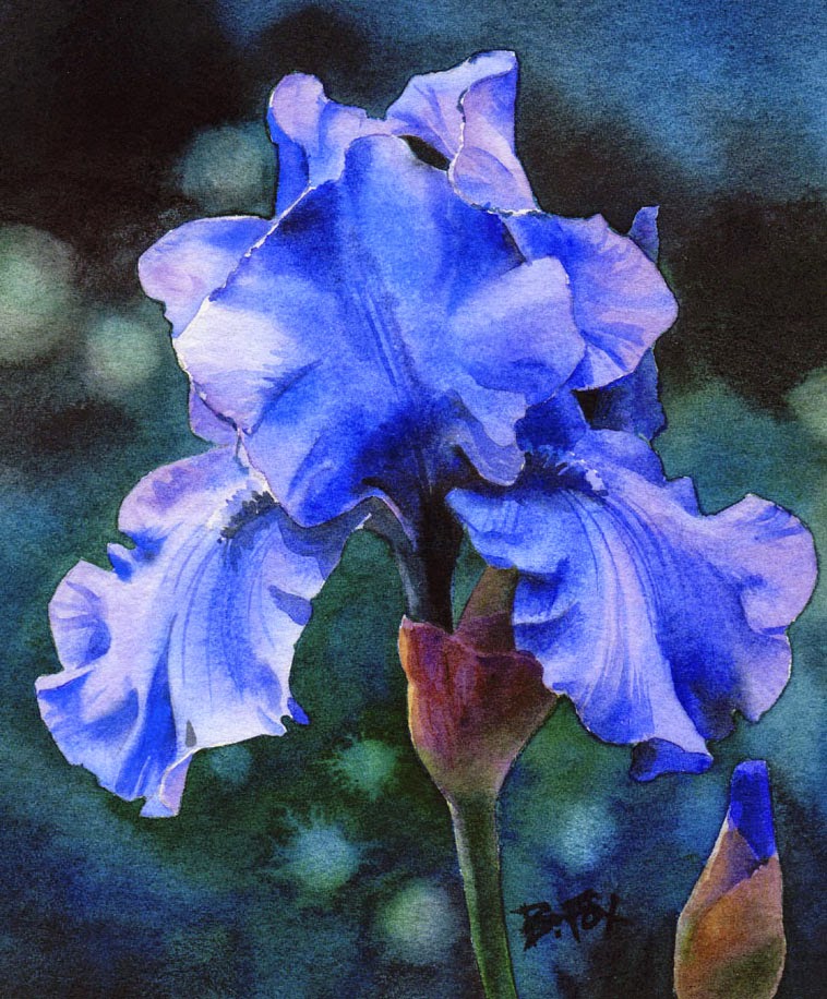 Watercolor Painting Of Irises At PaintingValley Com Explore   Watercolor Painting Of Irises 2 