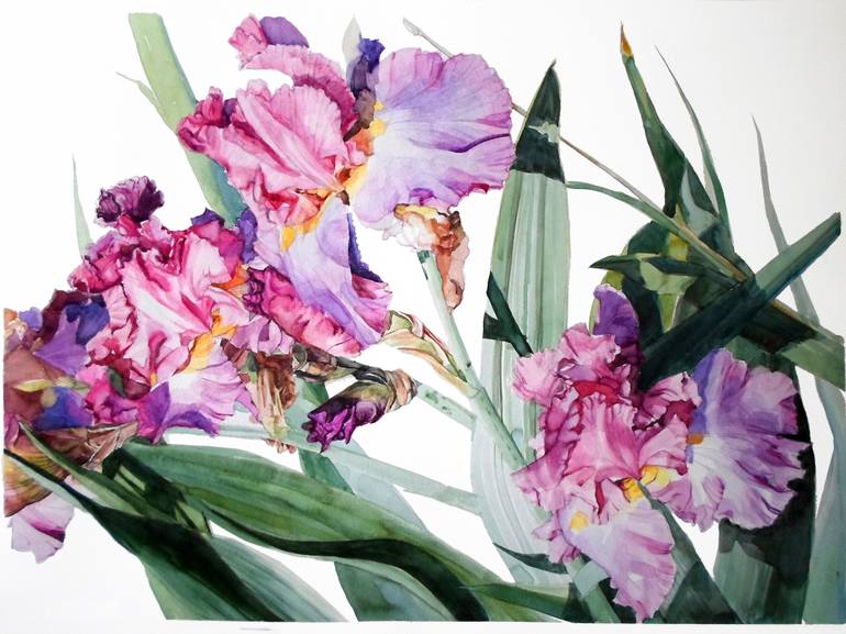 770x577 Saatchi Art Watercolor Of A Tall Bearded Iris I Call Iris Grace - Watercolor Painting Of Irises